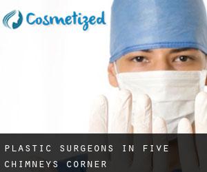 Plastic Surgeons in Five Chimneys Corner