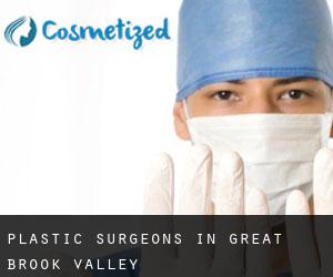 Plastic Surgeons in Great Brook Valley