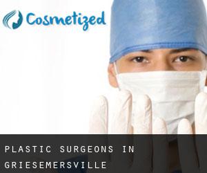 Plastic Surgeons in Griesemersville