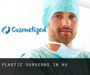 Plastic Surgeons in Hā‘ō‘ū