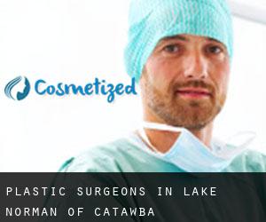 Plastic Surgeons in Lake Norman of Catawba