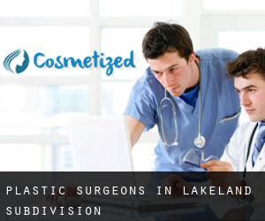 Plastic Surgeons in Lakeland Subdivision