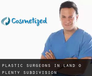 Plastic Surgeons in Land-O-Plenty Subdivision