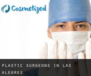 Plastic Surgeons in Las Alegres