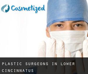 Plastic Surgeons in Lower Cincinnatus