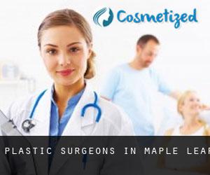 Plastic Surgeons in Maple Leaf