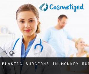 Plastic Surgeons in Monkey Run