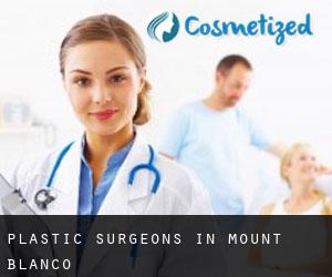 Plastic Surgeons in Mount Blanco