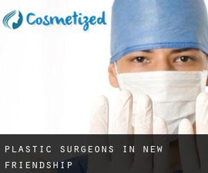 Plastic Surgeons in New Friendship