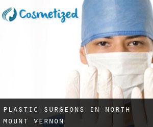 Plastic Surgeons in North Mount Vernon