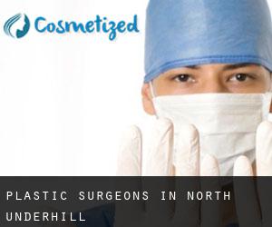 Plastic Surgeons in North Underhill