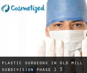 Plastic Surgeons in Old Mill Subdivision Phase 1-3