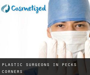 Plastic Surgeons in Pecks Corners