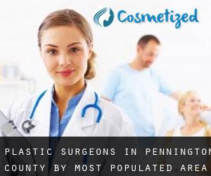 Plastic Surgeons in Pennington County by most populated area - page 1