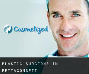 Plastic Surgeons in Pettaconsett