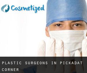 Plastic Surgeons in Pickadat Corner