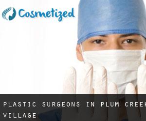 Plastic Surgeons in Plum Creek Village