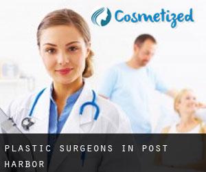Plastic Surgeons in Post Harbor