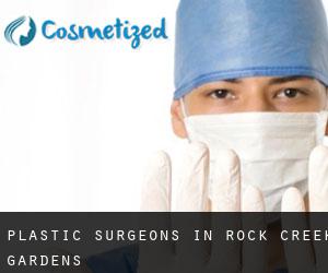 Plastic Surgeons in Rock Creek Gardens