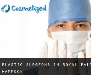 Plastic Surgeons in Royal Palm Hammock
