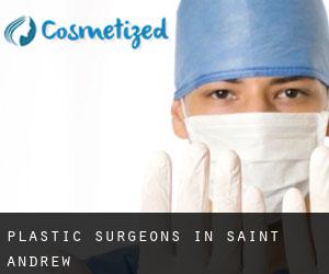 Plastic Surgeons in Saint Andrew