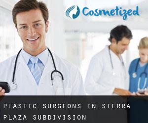 Plastic Surgeons in Sierra Plaza Subdivision