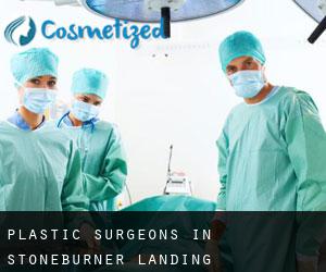 Plastic Surgeons in Stoneburner Landing