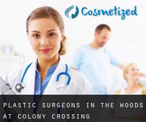 Plastic Surgeons in The Woods at Colony Crossing