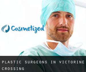 Plastic Surgeons in Victorine Crossing