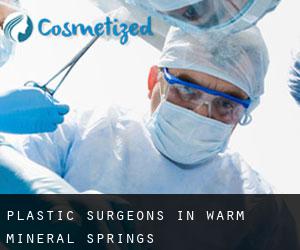 Plastic Surgeons in Warm Mineral Springs