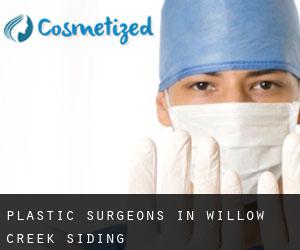 Plastic Surgeons in Willow Creek Siding