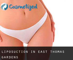 Liposuction in East Thomas Gardens