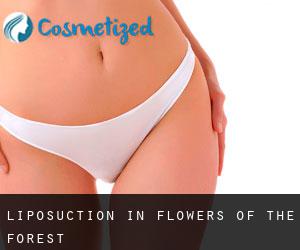 Liposuction in Flowers of the Forest