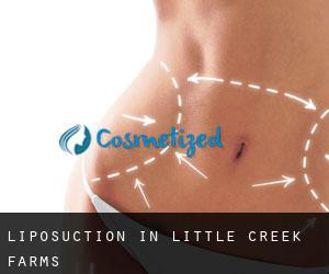 Liposuction in Little Creek Farms