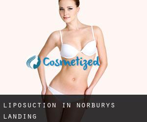 Liposuction in Norburys Landing