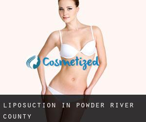 Liposuction in Powder River County