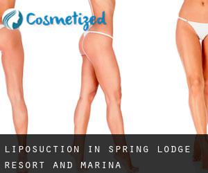 Liposuction in Spring Lodge Resort and Marina