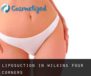 Liposuction in Wilkins Four Corners
