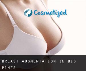 Breast Augmentation in Big Pines