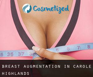 Breast Augmentation in Carole Highlands