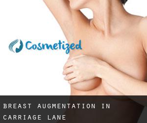Breast Augmentation in Carriage Lane