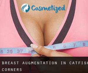 Breast Augmentation in Catfish Corners