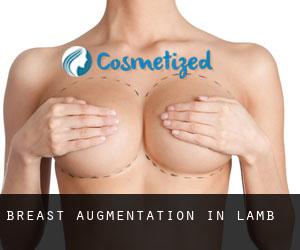 Breast Augmentation in Lamb