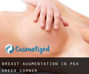 Breast Augmentation in Pea Green Corner