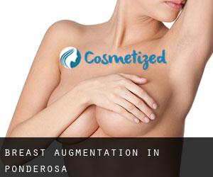 Breast Augmentation in Ponderosa