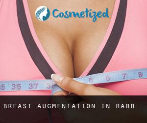 Breast Augmentation in Rabb