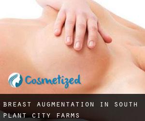 Breast Augmentation in South Plant City Farms