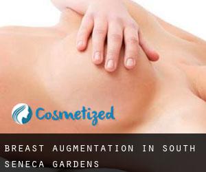 Breast Augmentation in South Seneca Gardens