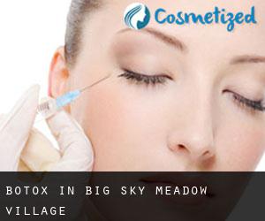 Botox in Big Sky Meadow Village