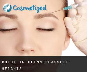 Botox in Blennerhassett Heights